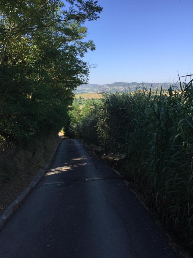 Casa Natura San Gimignano Eksteriør bilde
